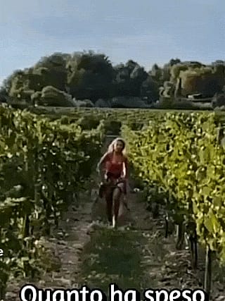 Michelle Hunziker'