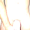 AVGdickus